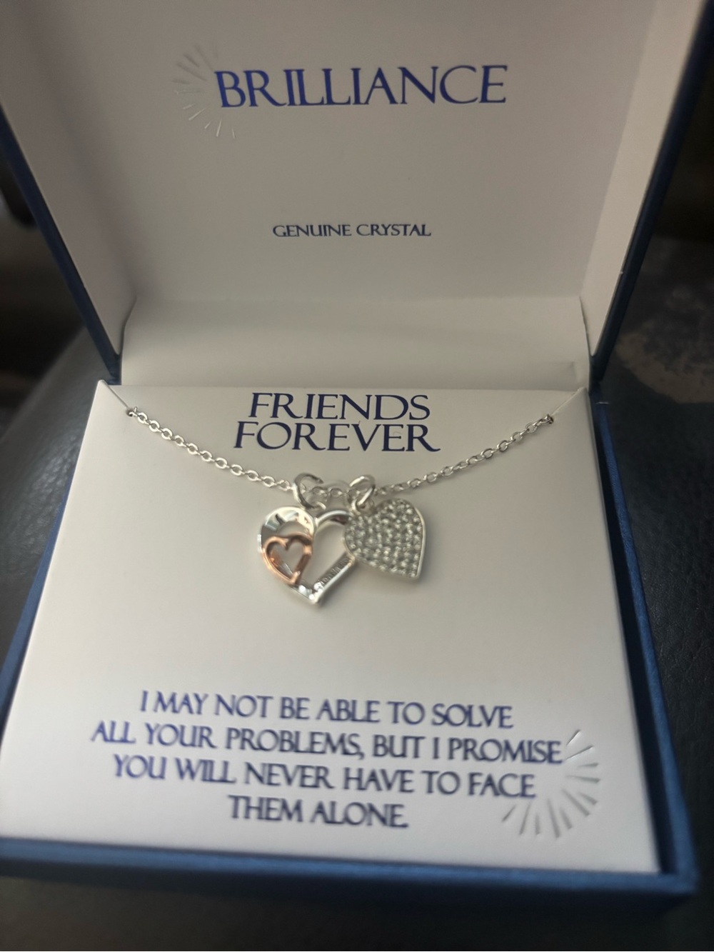 Friends Forever Two-Heart Silver & Rose Gold Necklace